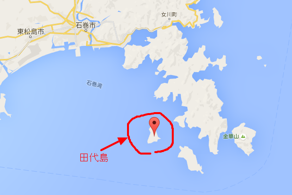 田代島 Google マップ