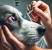 犬の目の病気とその症状・治療法：愛犬を守るために知っておきたいこと